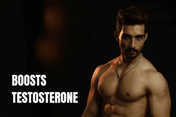 Boosts Testosterone