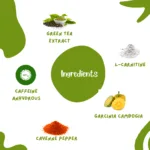 Ingredients of Ojas Earth Zen Leaf Green Tea