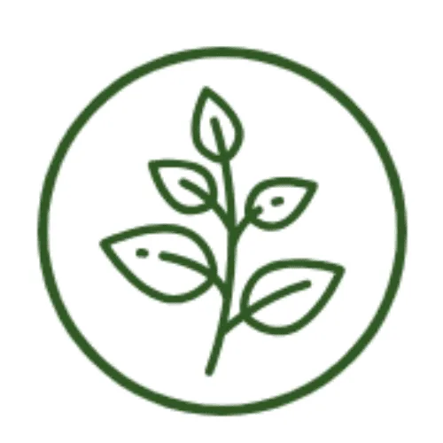 Using Natural Ingredients