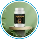 Stamina 69 Desire Xtract powder