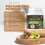 Ojas Earth Pachan Pro Powder - Image 5