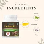 Ojas Earth Pachan Pro Powder - Image 3