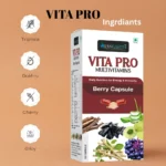 Best Ayurvedic Multivitamins Capsule For Men And Women| Ojas Earth Vita Pro Multivitamins Capsule - Image 5
