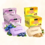Ojas Earth Blueberry And Haldi Chandan Soap(Pack of 10)