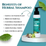 shampoo for hair fall