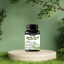 Zen Leaf Green Tea